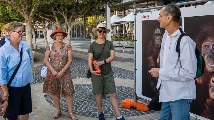 Group of people viewing photo display in Australian plaza with trees and storefronts