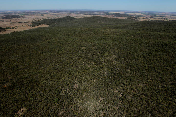File image: Aerial view of dense bushland and open plains beyond