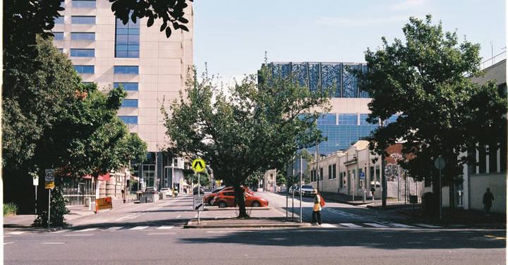 File image: Tree-lined urban street with office buildings and pedestrians