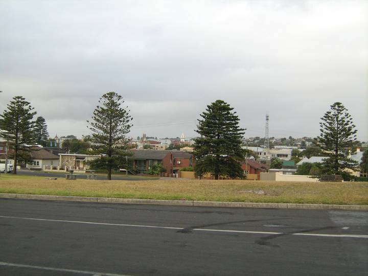 A suburban streetscape of Warrnambool viewed from a wet road, featuring tall Norfolk Island pine trees, low residential houses, and the town's rooftops and a church spire visible i