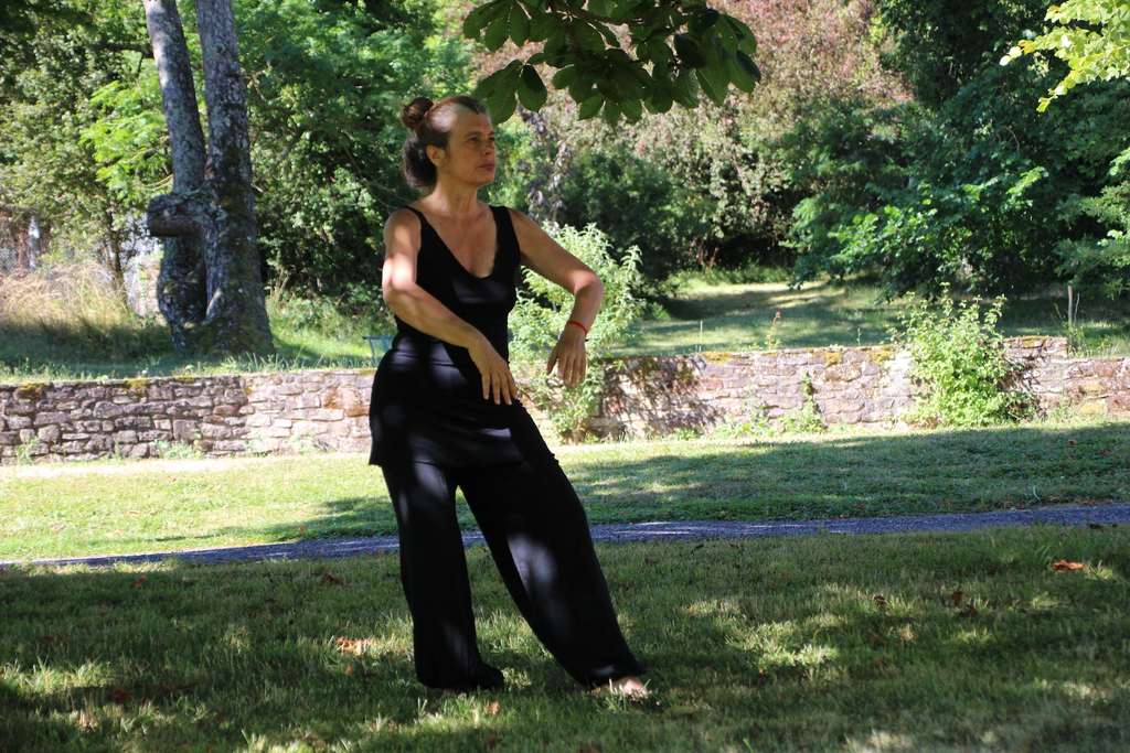 Tai chi master practicing on the grass.