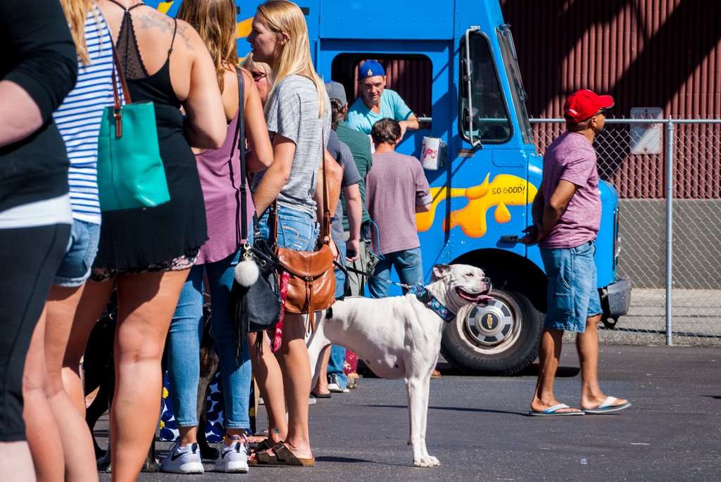 A group of people standing in front of a blue bus.