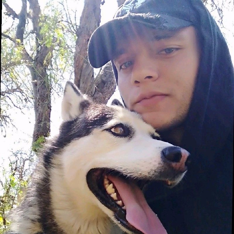 Noe H Rodriguez profile picture