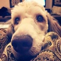 Brad Cantwell profile picture