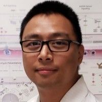 raymond zhou profile picture