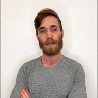 Dor Levy profile picture