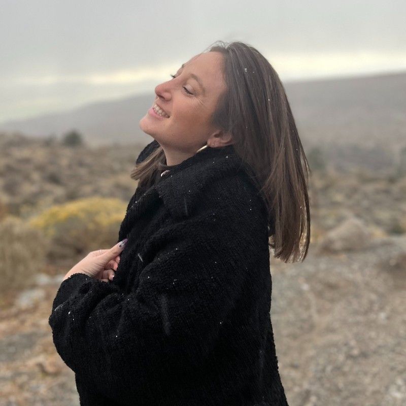 Mor Shnek profile picture