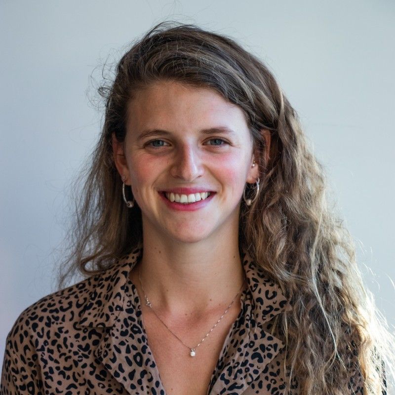 Aviv Aladgem profile picture