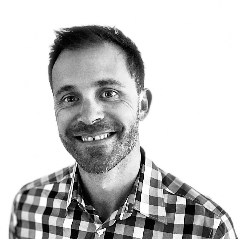 Dave Ibis profile picture