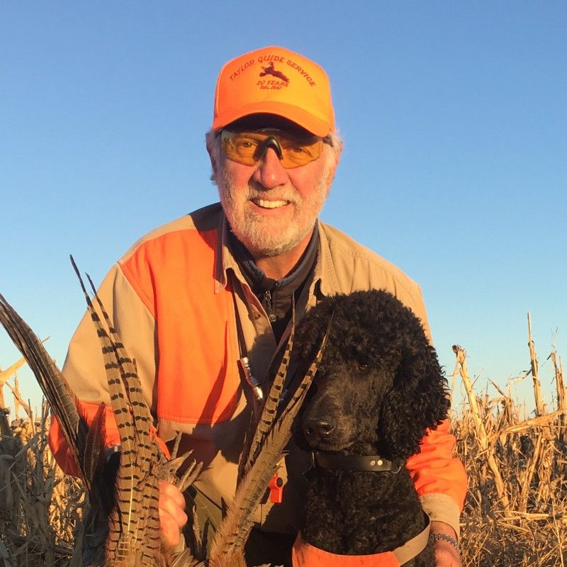 Steven Medwell profile picture