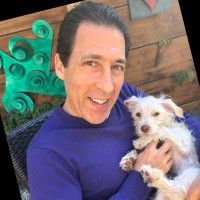 Larry Stein profile picture