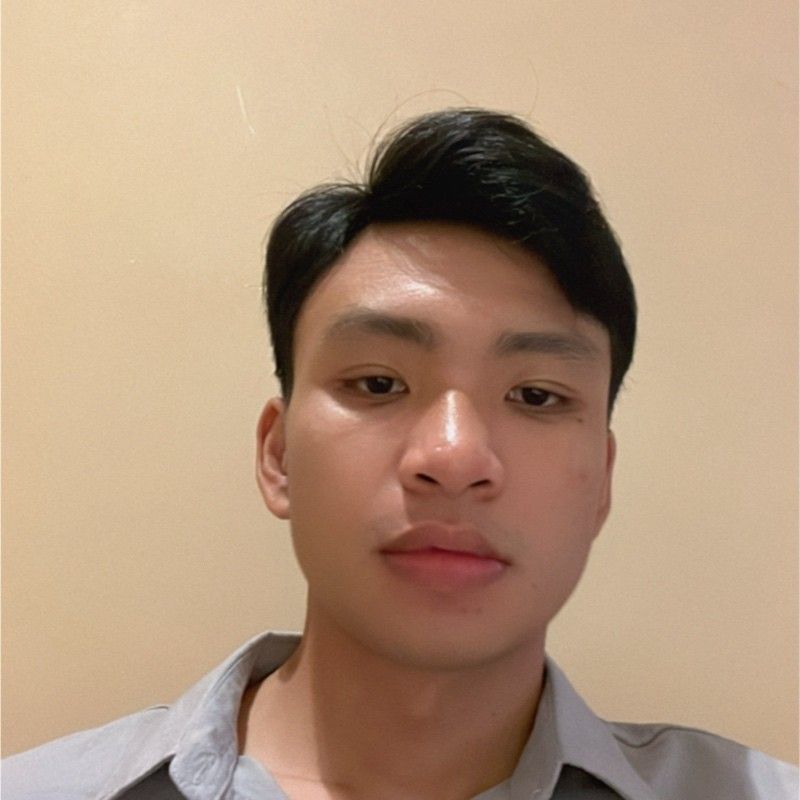 Tung Nguyen profile picture
