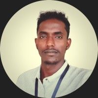 tadesse shimels profile picture