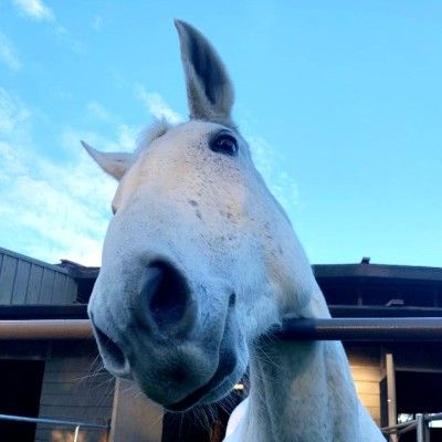 Daniel A Noble profile picture