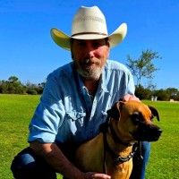 Peter Van Engelen profile picture