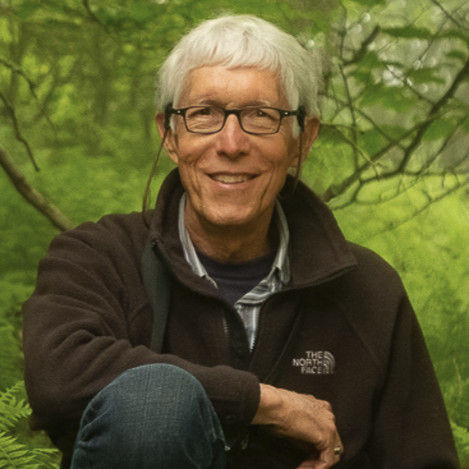 Chris Allen profile picture