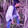 Deepak Jena profile picture