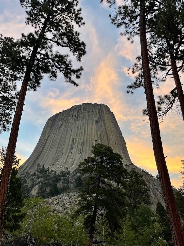 Heidi Goes to College