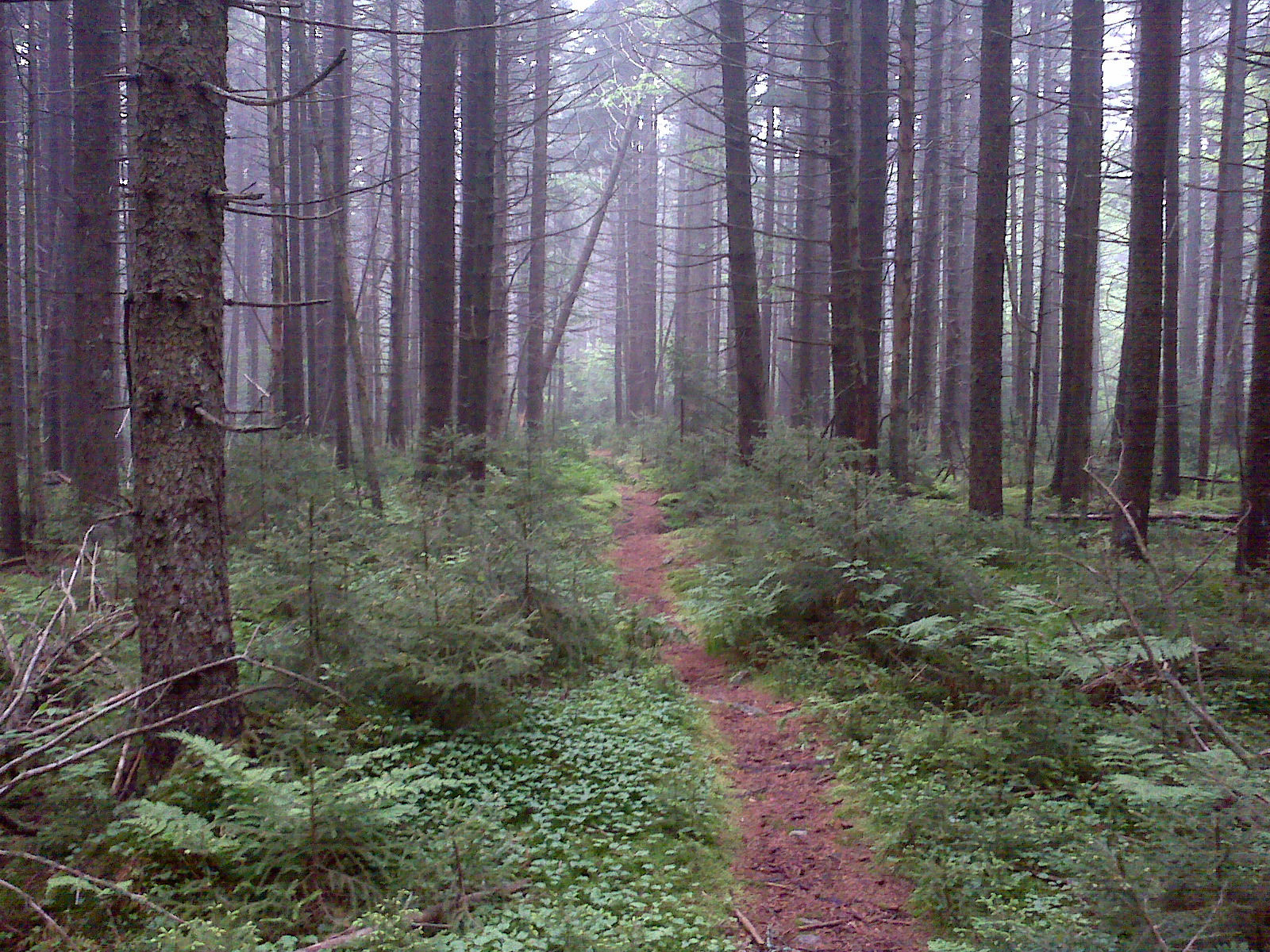 New River Gorge Rafting and Hiking