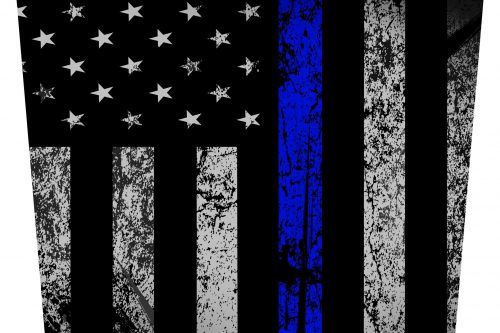 Kawasaki Teryx 800 Hood Decal 2016-Present