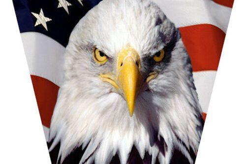 Honda Pioneer 700 Hood Cowl Graphic Decals