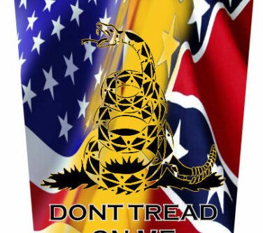 Kawasaki Teryx 800 Hood Decal 2016-Present