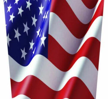 Kawasaki Teryx 800 Hood Decal 2016-Present