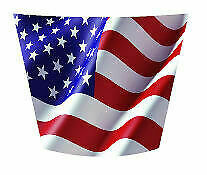 Honda Pioneer 500-520 Cowl Hood Decal
