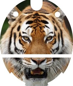 Nucleus Kanso Cochlear Skin Decals