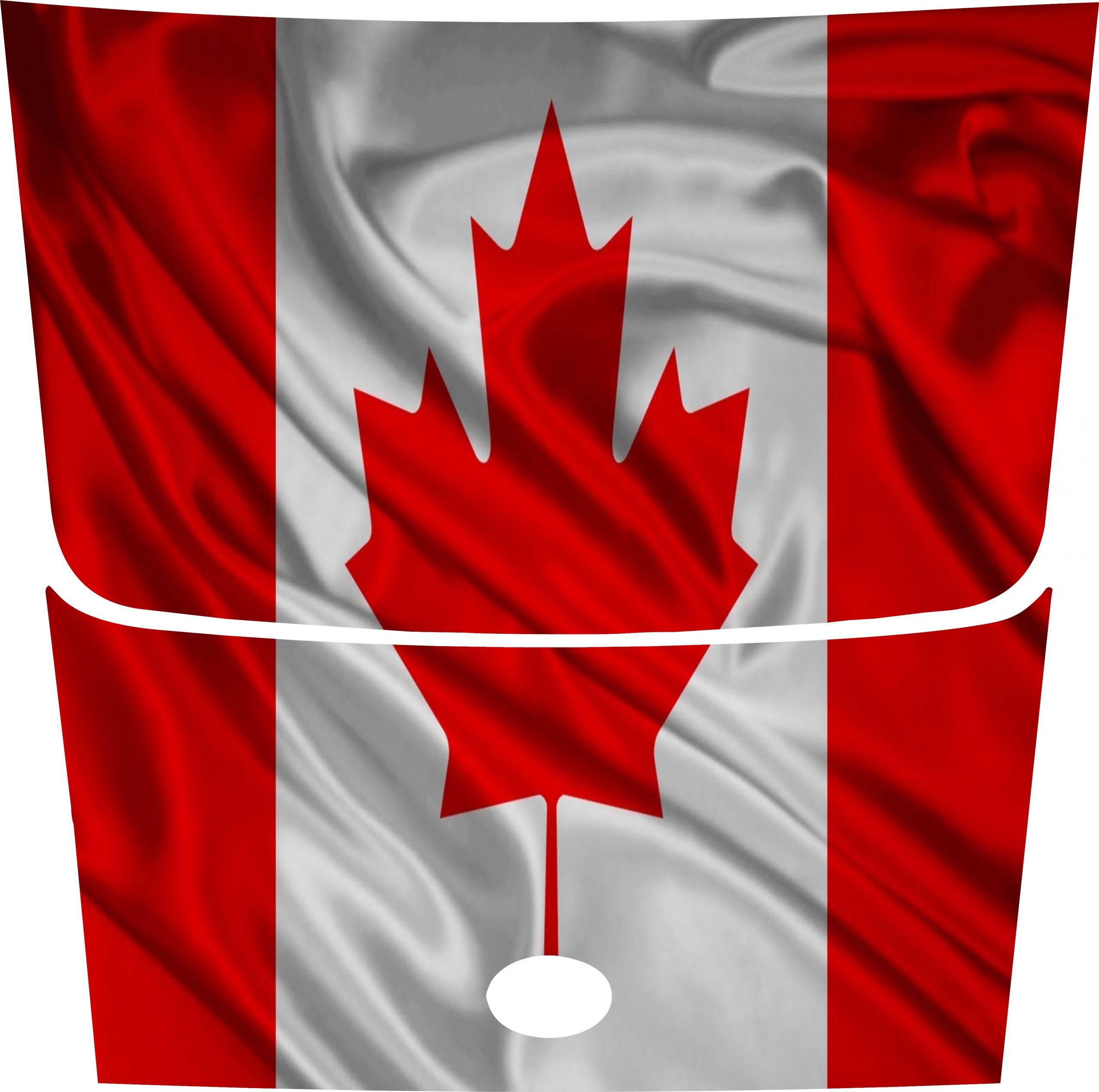 Flag Waving Canadian