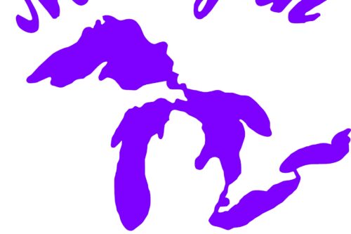 Michigan Rollers Decals