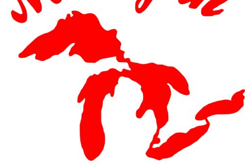 Michigan Rollers Decals