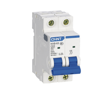 Pastilla para Riel Din CHINT NXB632PC63 - Interruptor � 2 Polos | 110/415 Vca � 63 A � 6 kA � Serie NXB-63