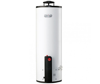 Boiler Calorex G20 NAT - Boiler � Gas Natural | 72 Litros � Modelo Maximus de Alta Eficiencia
