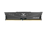 Imagen de TLZGD48G3200HC16F01