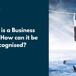 What is a Business Risk & How can it be recognised?