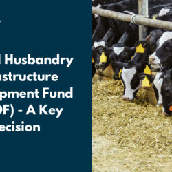 Animal Husbandry Infrastructure Development Fund (AHIDF) – A Key Decision