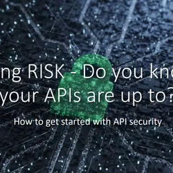 Cataloging RISK - Do you know what your APIs are up to?