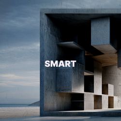 Smart