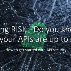 Cataloging RISK - Do you know what your APIs are up to?