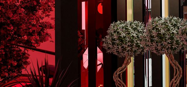 a group of plants in a room