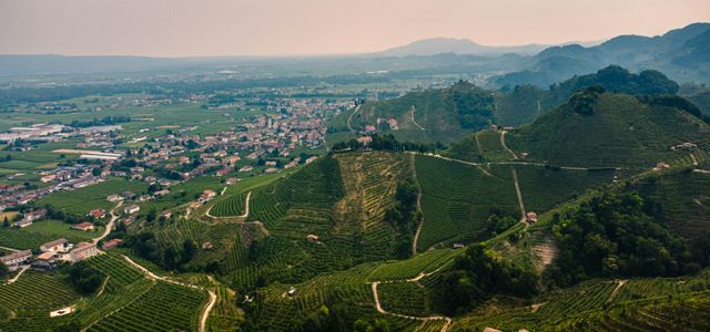 aerial view of green mountains during daytime