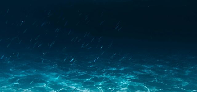 blue and clear body of water