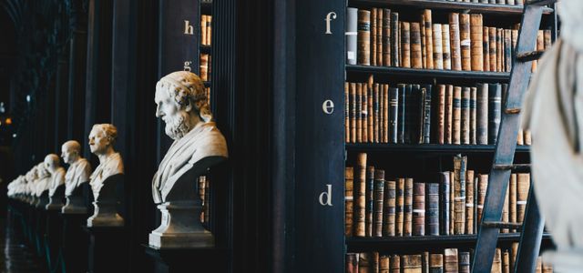 book lot on black wooden shelf