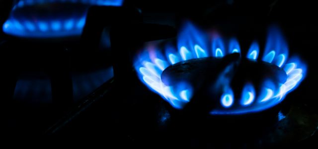 close up photo of burning wood