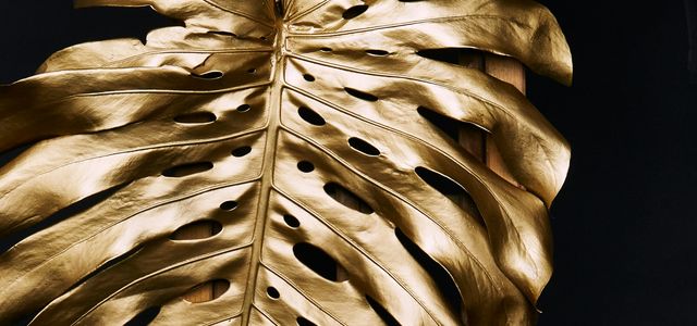 closeup photo of brown leaf near brown wooden frame