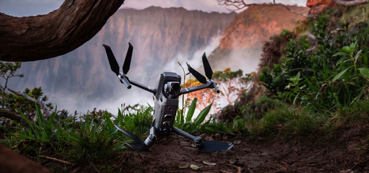gray and black drone near tree roots