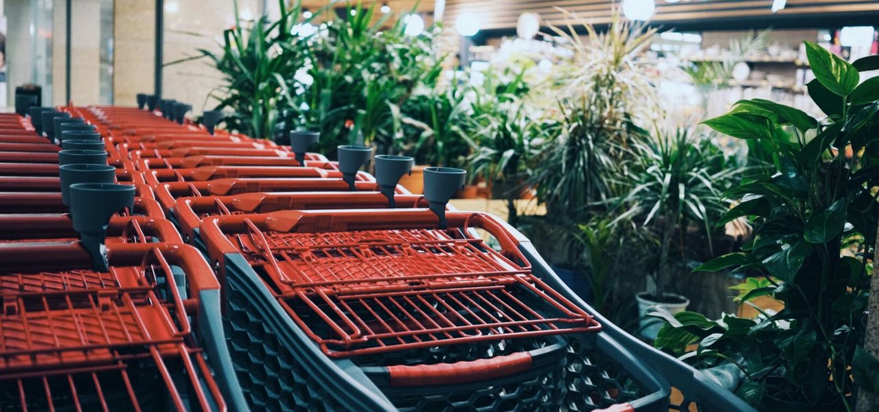 gray and red metal shopping cart in store