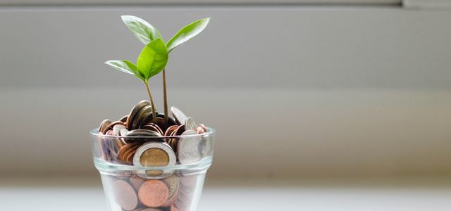 green plant in clear glass cup