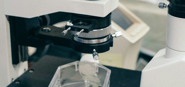 person holding black and white microscope